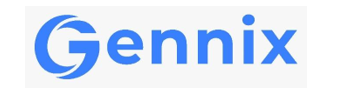 Technicorum Holdings Launches Gennix Microlending Platform and $GNNX Token Sale on KingSwap and PancakeSwap.