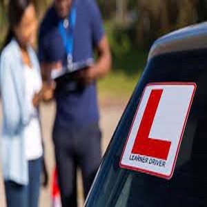 Learner Driver Insurance Market Giants Spending Is Going to Boom with Metlife, AXA, AIG