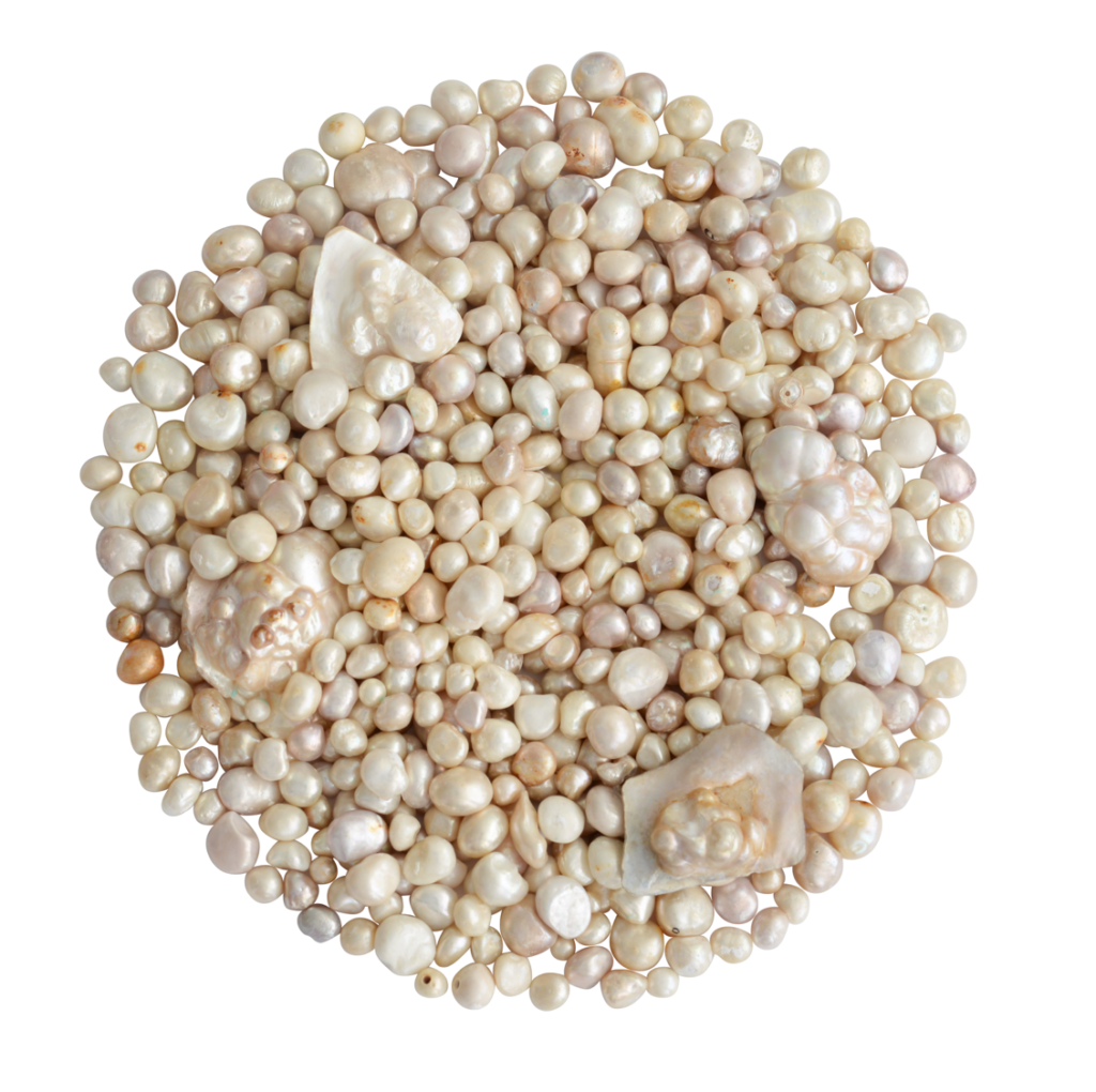 The Columbus Pearls achieves the world record for the “Largest ...