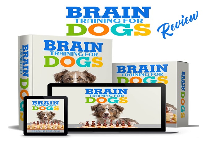 Brain Training For Dogs Book by Adrienne Farricelli