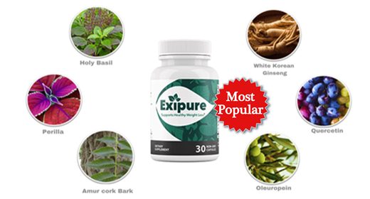 Exipure: Is It Worth To Buy? Price, Dosage, Ingredients and Real Customer  Reviews – Business