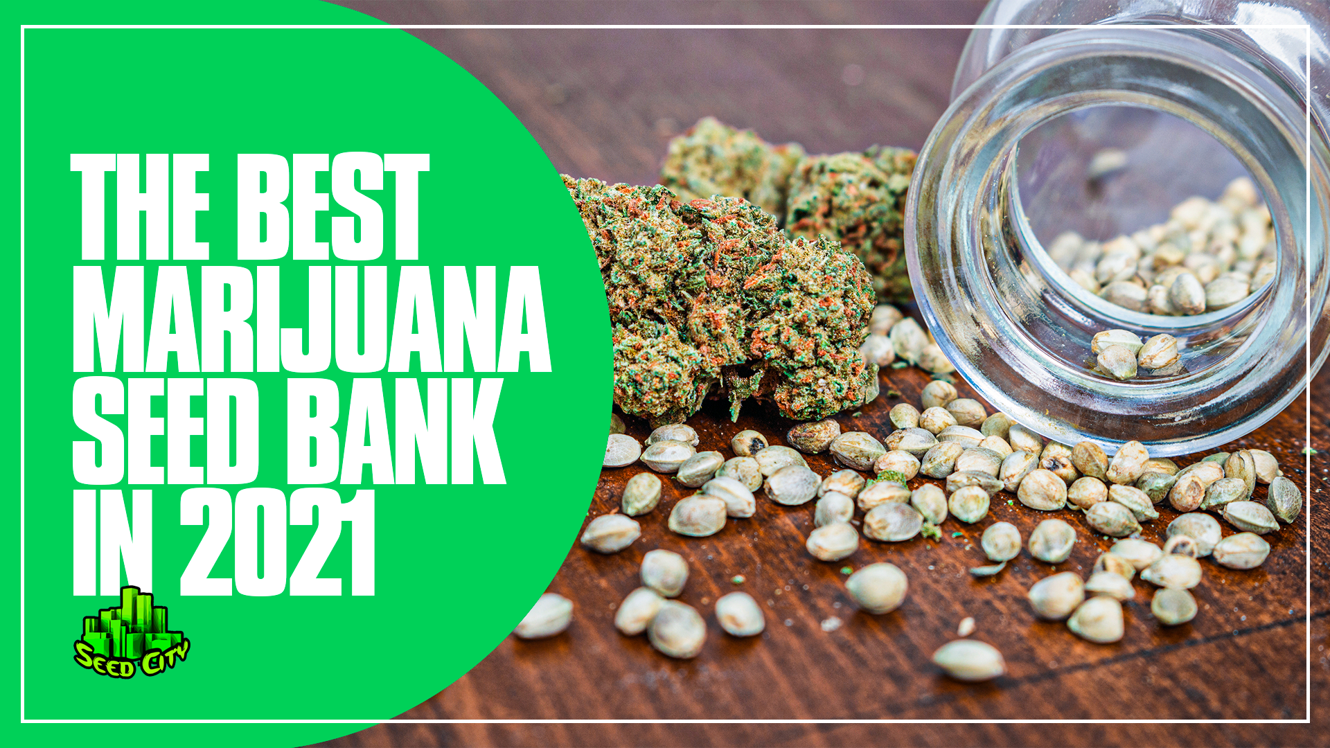 Cheap Cannabis Seeds