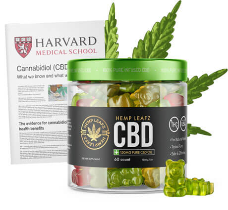 Hemp Leafz CBD Gummies Reviews: Side Effects, Reduces Anxiety Stress,  Price, and Buy? – Business