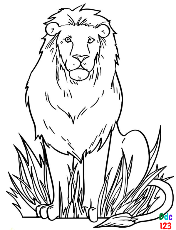 Animal coloring pages to color and print – DDC123 - IPS Inter Press Service  Business