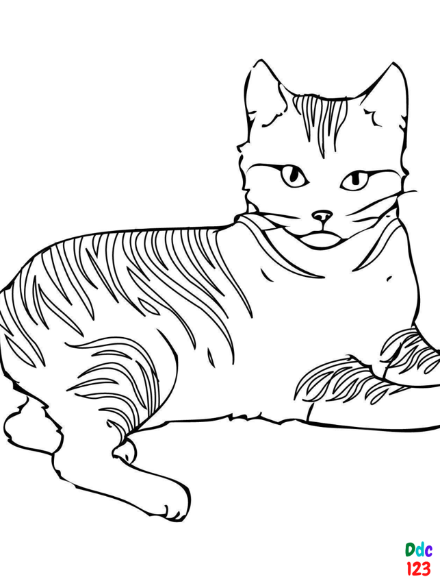 Animal coloring pages to color and print – DDC123 - IPS Inter Press ...