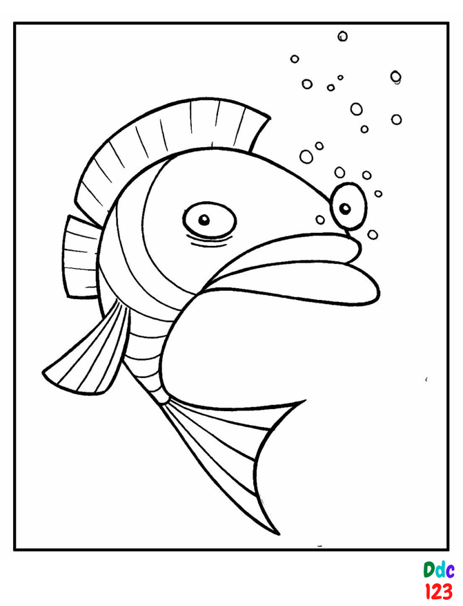 Animal coloring pages to color and print – DDC123 - IPS Inter Press