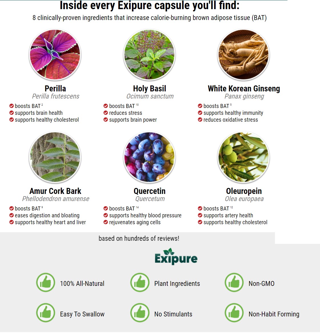 Exipure Reviews: Legit Exipure Update from Customers 30 2 11