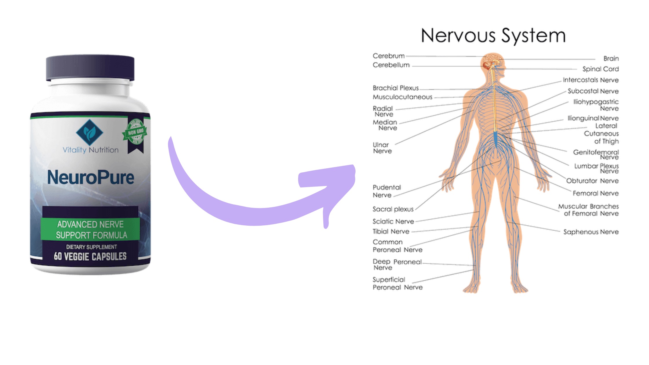 NeuroPure | Vitality Nutrition Neuro Pure | Pros & Cons 