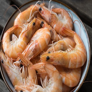 3485 1647850216.shrimp market new n