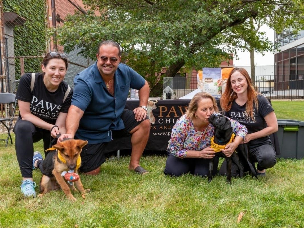 Chicago’s Alex Pissios brings out his servant’s heart to pause with paws as he celebrates PAWS Chicago in the grass with a couple of puppies and a group of volunteers..