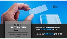 Protein Chip Market is Projected to Reach $1,367.1 Million by 2030