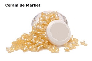 Ceramide Market to Reach US$ 503.3 Million by 2027 | CAGR of 5.70%