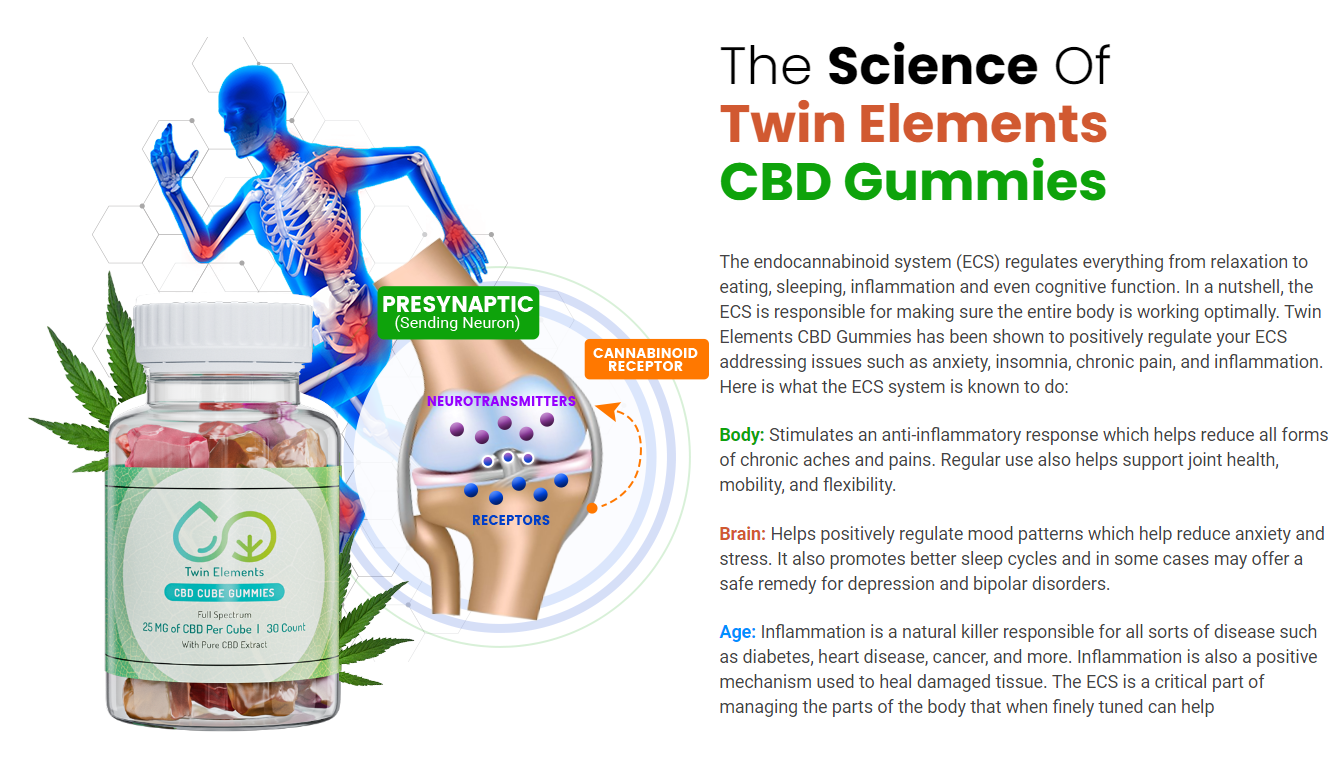 Twin Elements CBD Gummies Reviews: Get Rid Of Joints Pain, Certified  Results! - IPS Inter Press Service Business