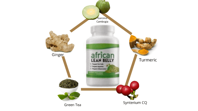 thumbnail What is the African Lean Belly formula