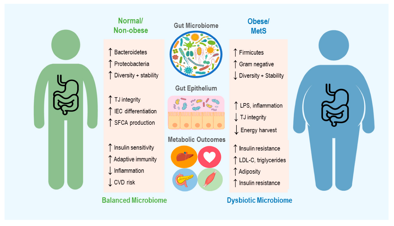 Leanbiome – The Probiotic Fat Burner that’s breaking the internet - IPS ...