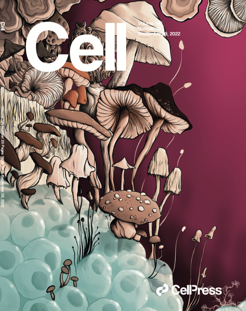 Cell final cover