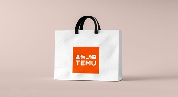 White Bags - Temu